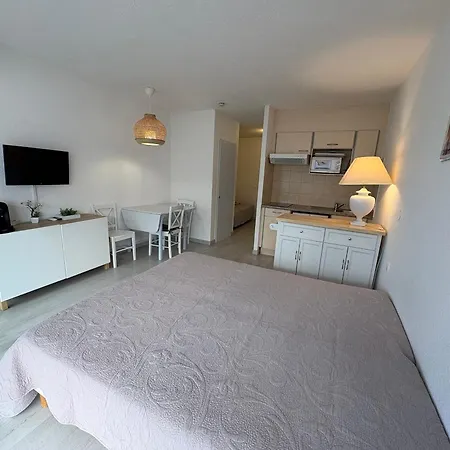 Climatise 2/3 Pers Proche Et Commerces, Balcon, Wi-fi, Parking Dispo - Fr-1-466a-7 *