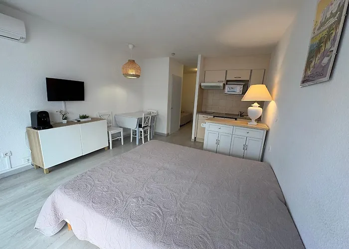 Climatise 2/3 Pers Proche Et Commerces, Balcon, Wi-fi, Parking Dispo - Fr-1-466a-7 *